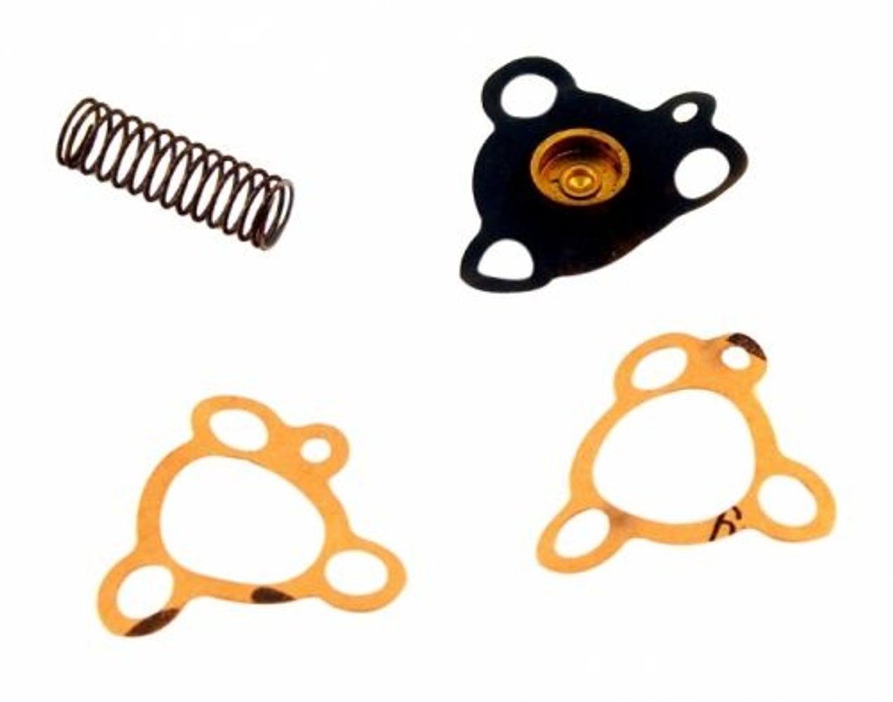 Membraanset Carburateur Zenith