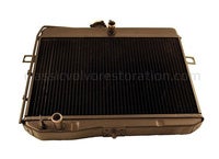 Radiator Amazon B16