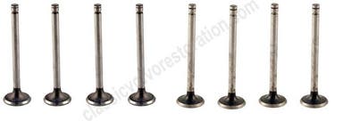 Kleppenset voor Volvo B14, B16