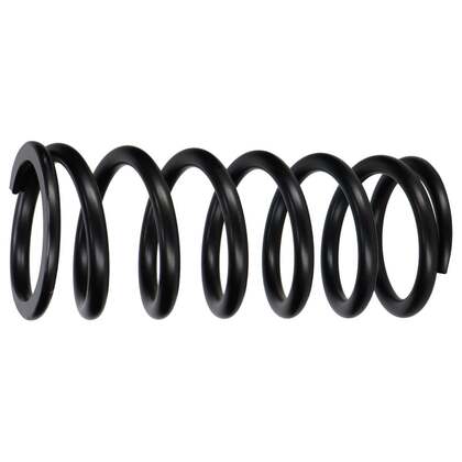 Spiraalveer voor Volvo Amazon/1800