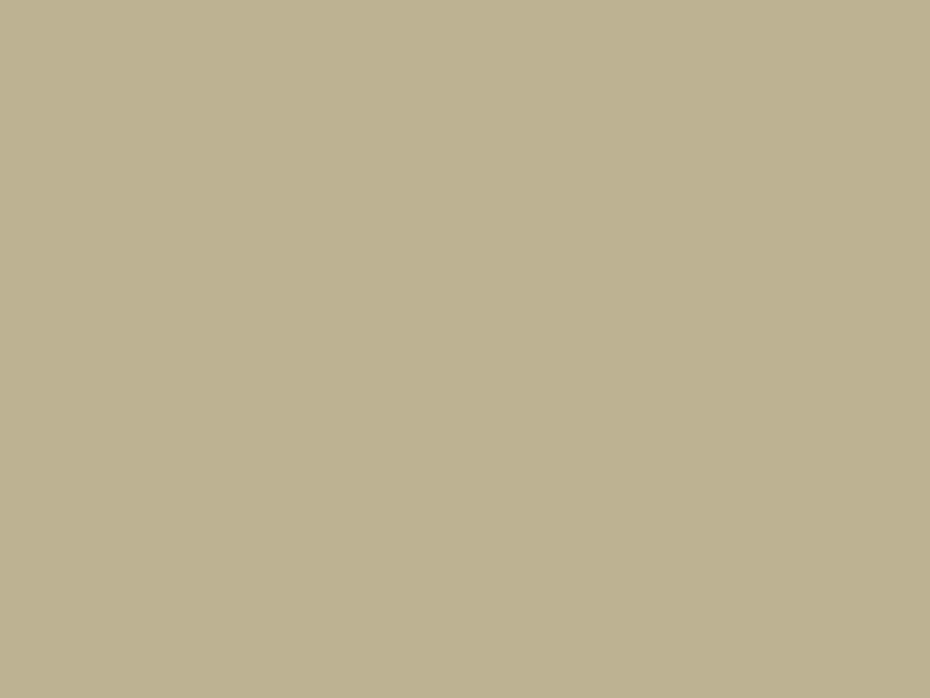 Lak 119 Beige metallic, spray