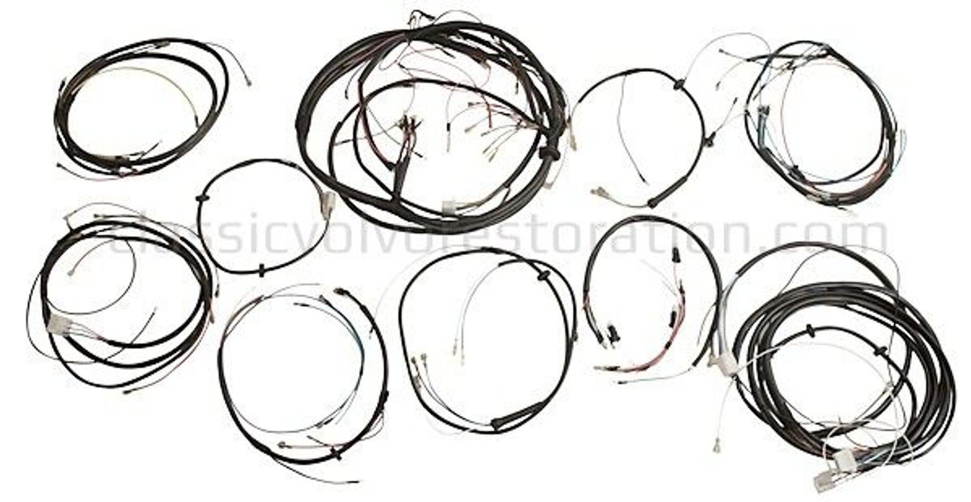 Kabelboom Amazon B20