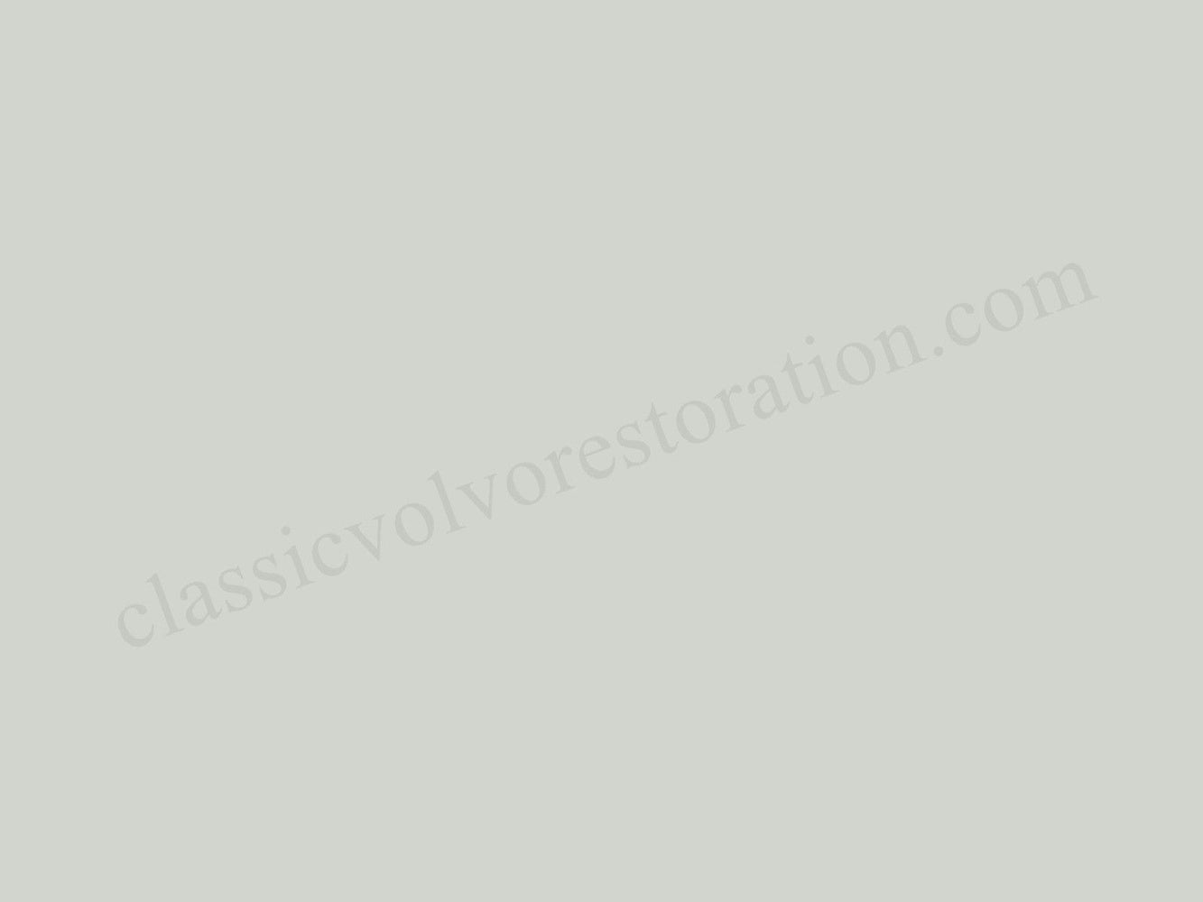 Lak 91 lichtgroen, spray